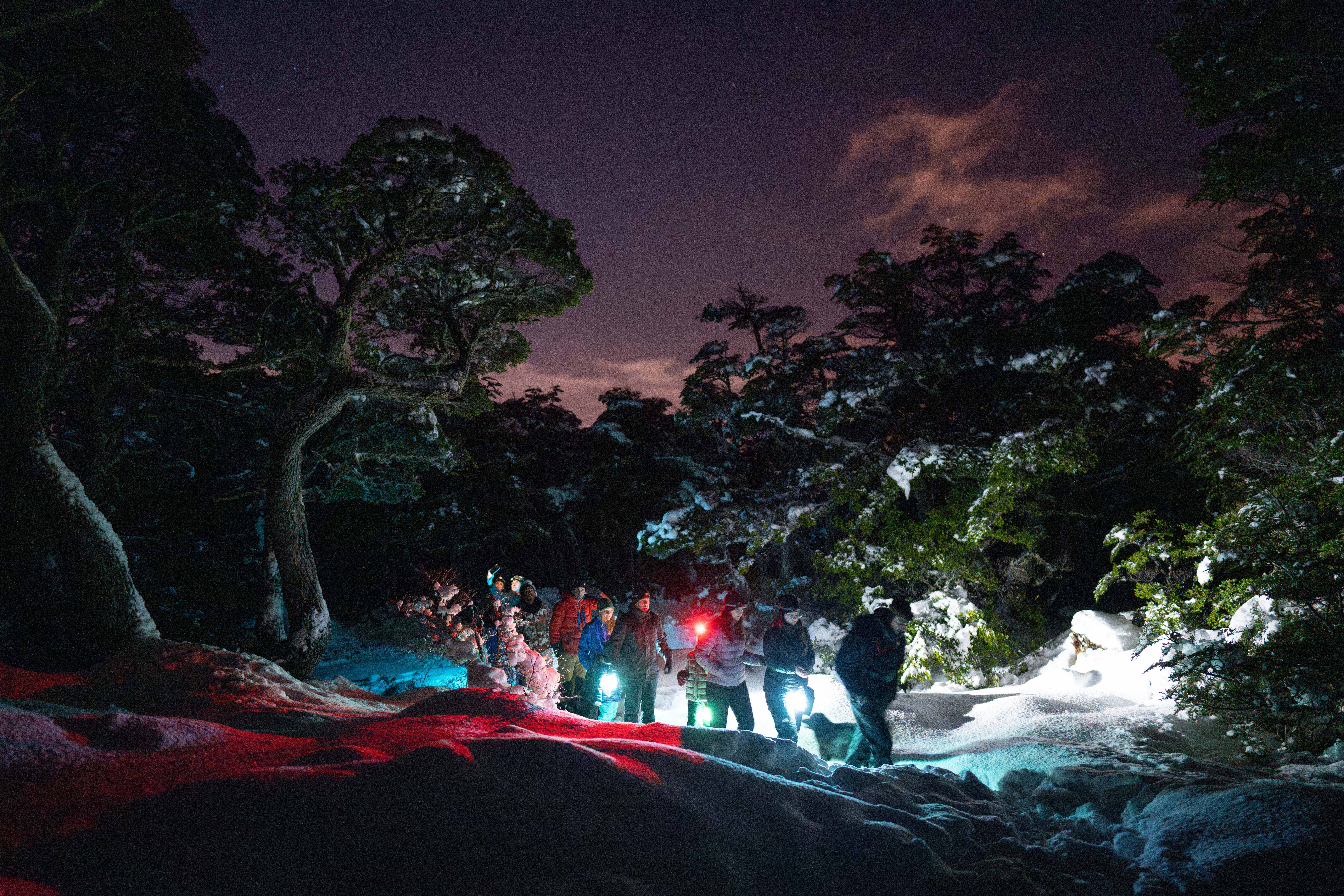 Excursión nocturna en Ushuaia